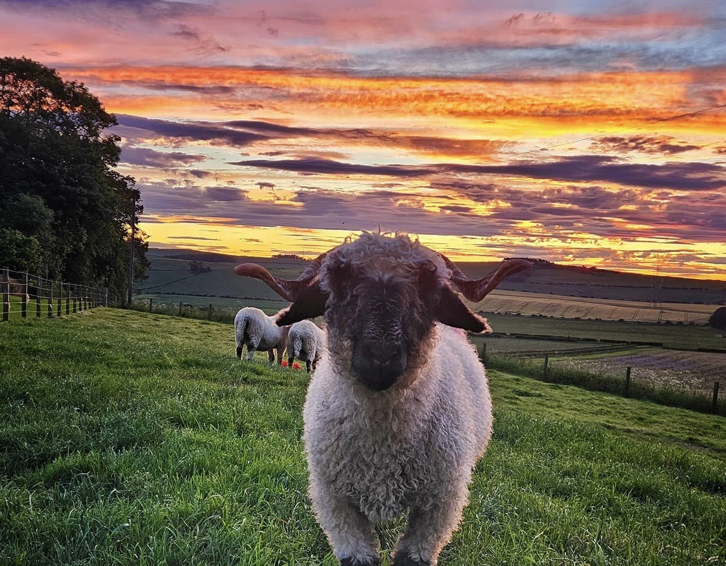 Discover Northumberland: Seasonal Activities to Enjoy All Year Round