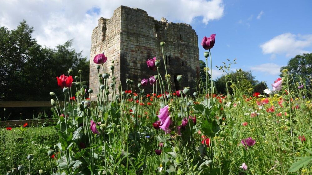 Why Are There So Many Castles in Northumberland?