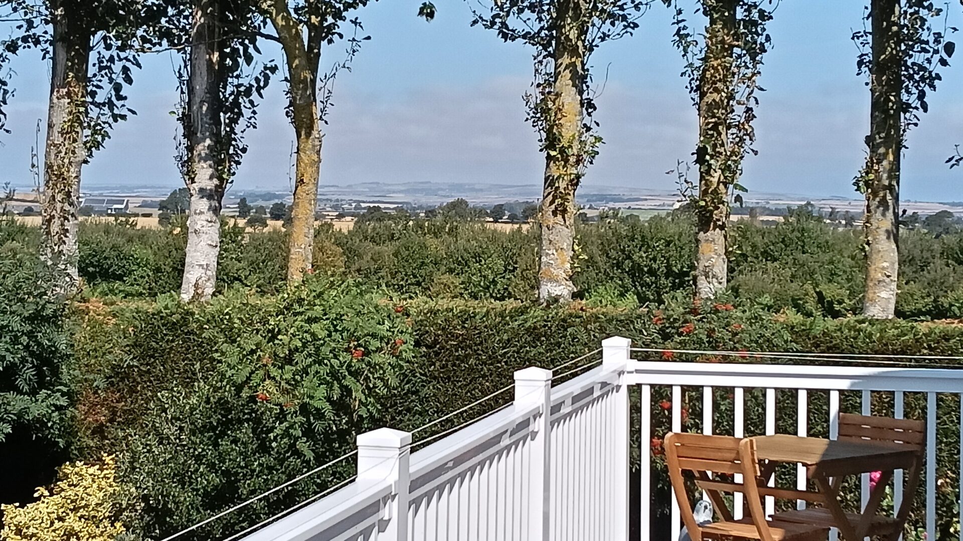 IMG20250817114753