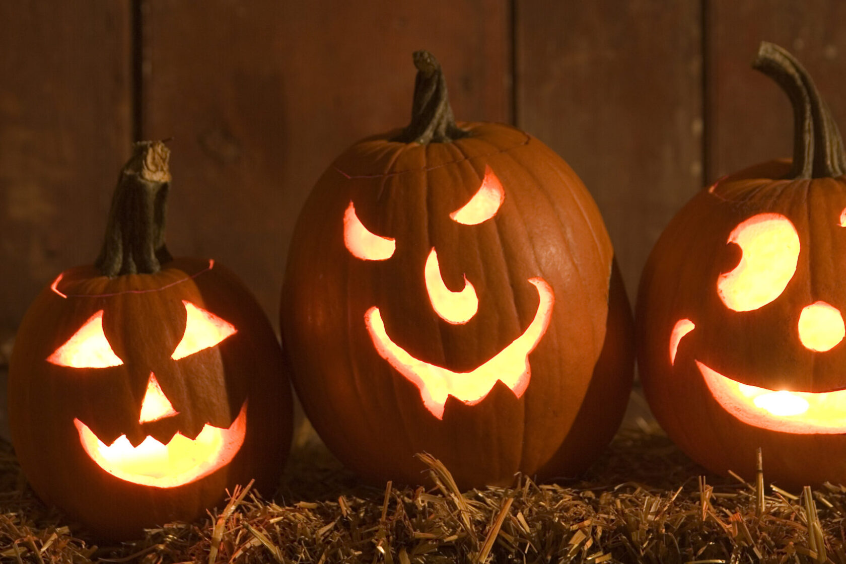 Halloween in Northumberland: Ghostly Adventures & Autumn Half-Term Fun