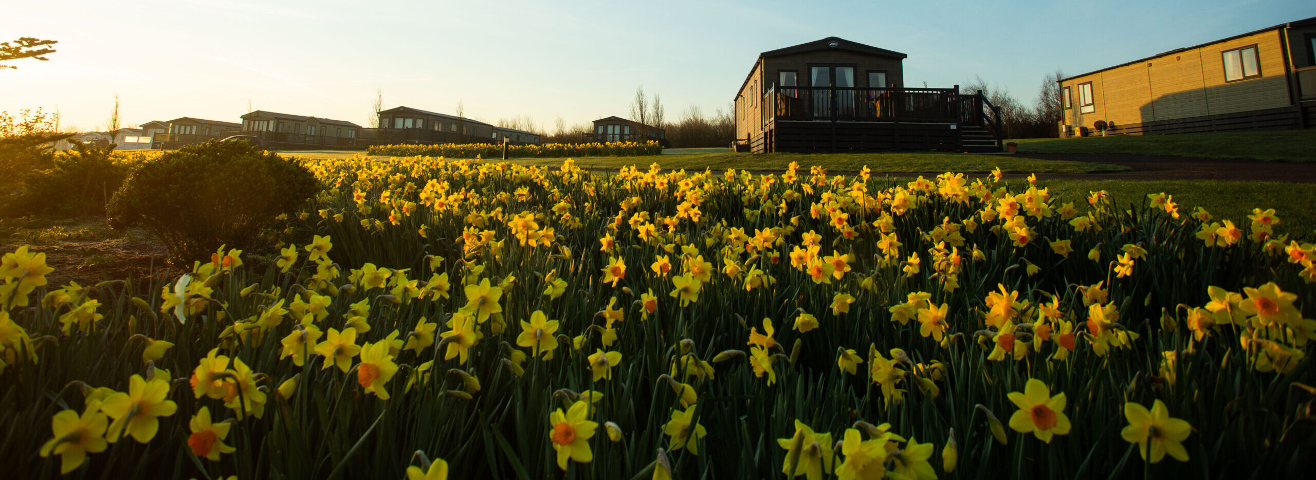 Moorcroft at Barmoor Castle Country Park